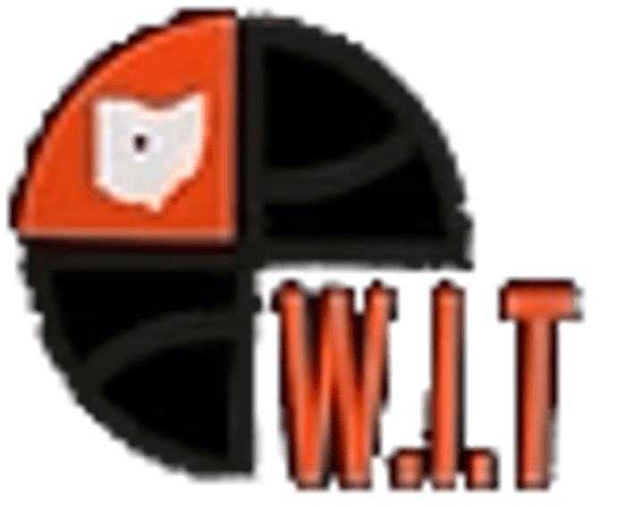 Whatever It Takes_u LLC Logo